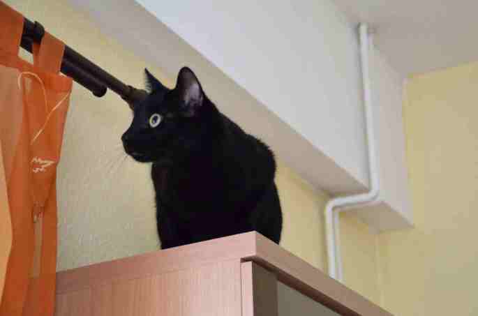 2013-06-20-micky_0036