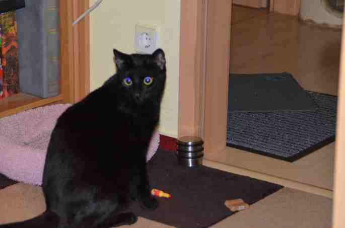 2014-03-08-micky_0037