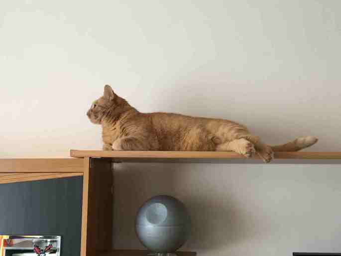 2017-3-26-spiky_0040